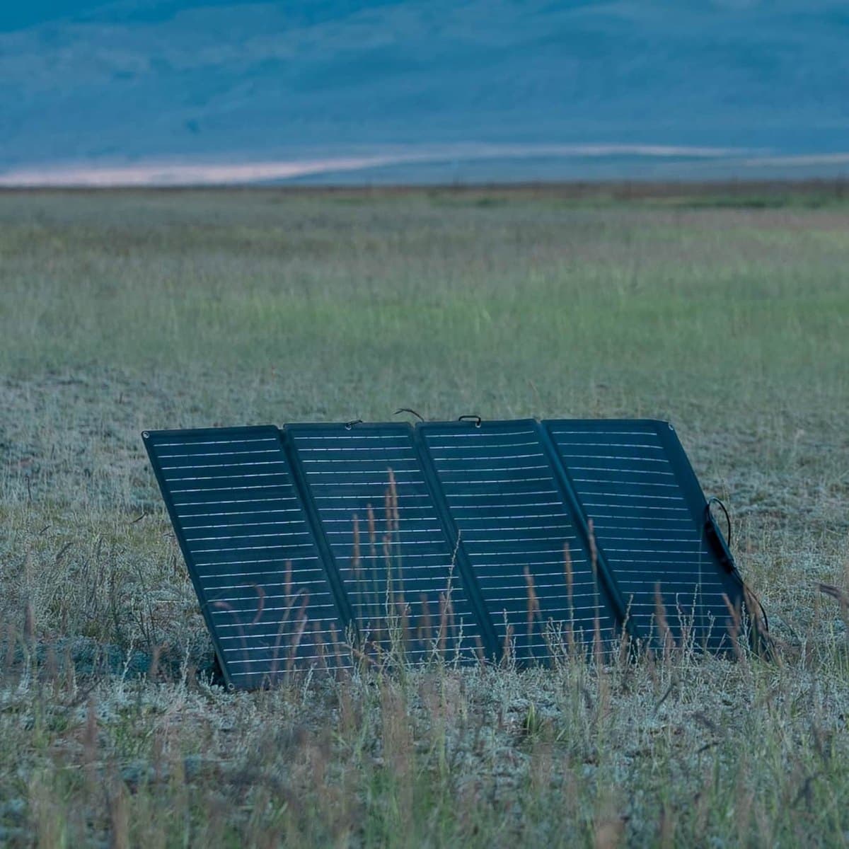 EcoFlow 160W Portable Solar Panel - EcoFlow